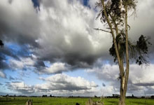 虎扑- 浙江队迎中超关键赛；今夜伤情更新；话题不断；数据趋势出现新变化